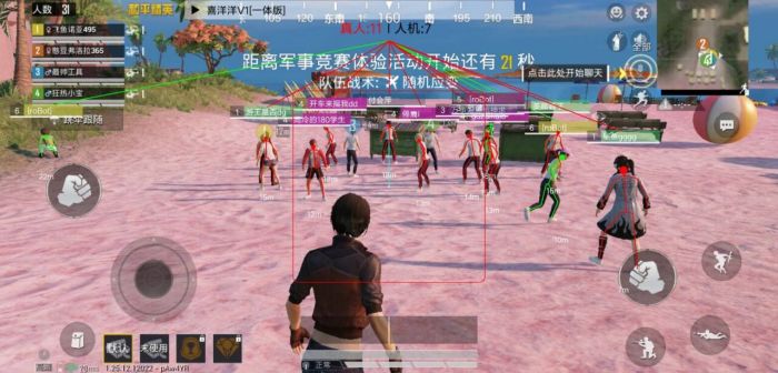 和平精英辅助安装下载苹果（如何判断一个和平精英辅助工具的信誉和安全性？）